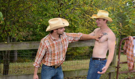 Gay Cowboy Pics