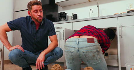 Gay Sex in Kitchen Pics