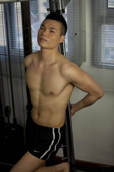 Gay Asian Pics